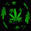 (ORIGINAL)Far Cry 3 modding money(2.147.483.647 - last post by dippidip