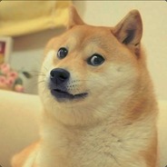 Doge <3