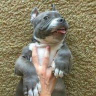 Ricardo Jimenez Solis