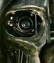 CaliostRa