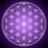 InfiniteSpark369
