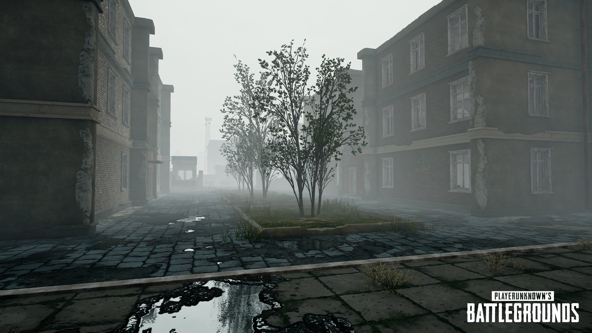 battlegrounds_foggy_weather_sneak_peek_2.jpg