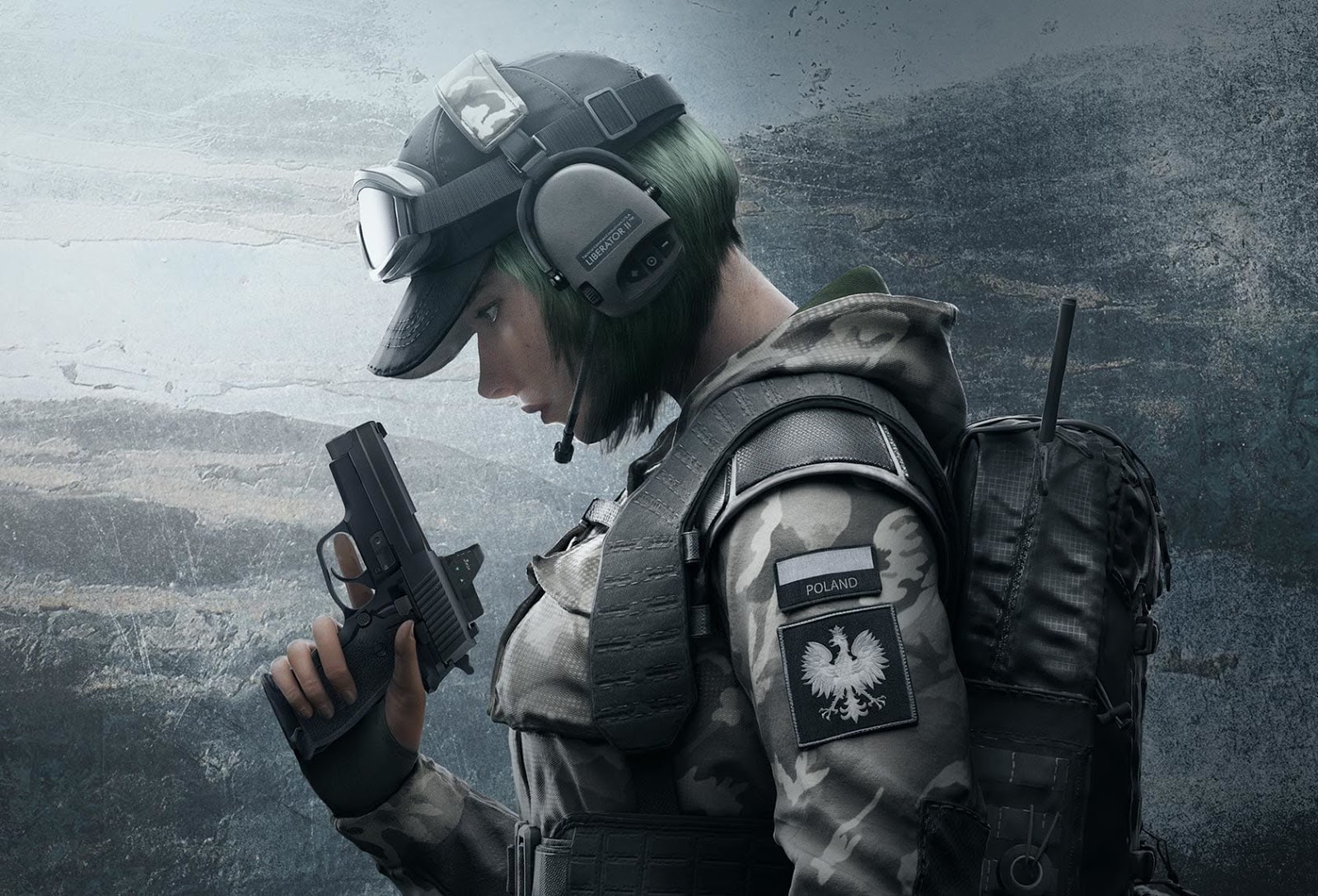 r6-ela1.jpg
